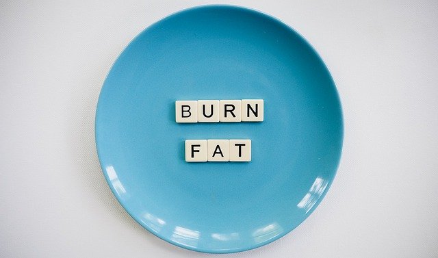 burn fat