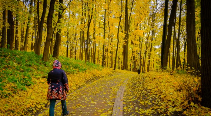 Best Exercise For 40 Plus Woman woman walk